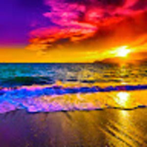 Meet your Posher, Marcia